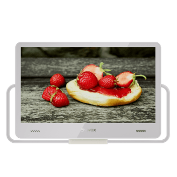 Portable TV
