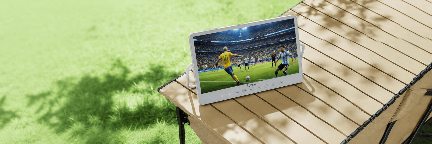 Portable TV