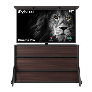 75" Cinema Pro Outdoor TV + Lift Cabinet Bundle
