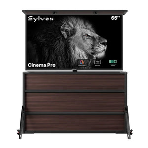 65" Cinema Pro Outdoor TV + Lift Cabinet Bundle