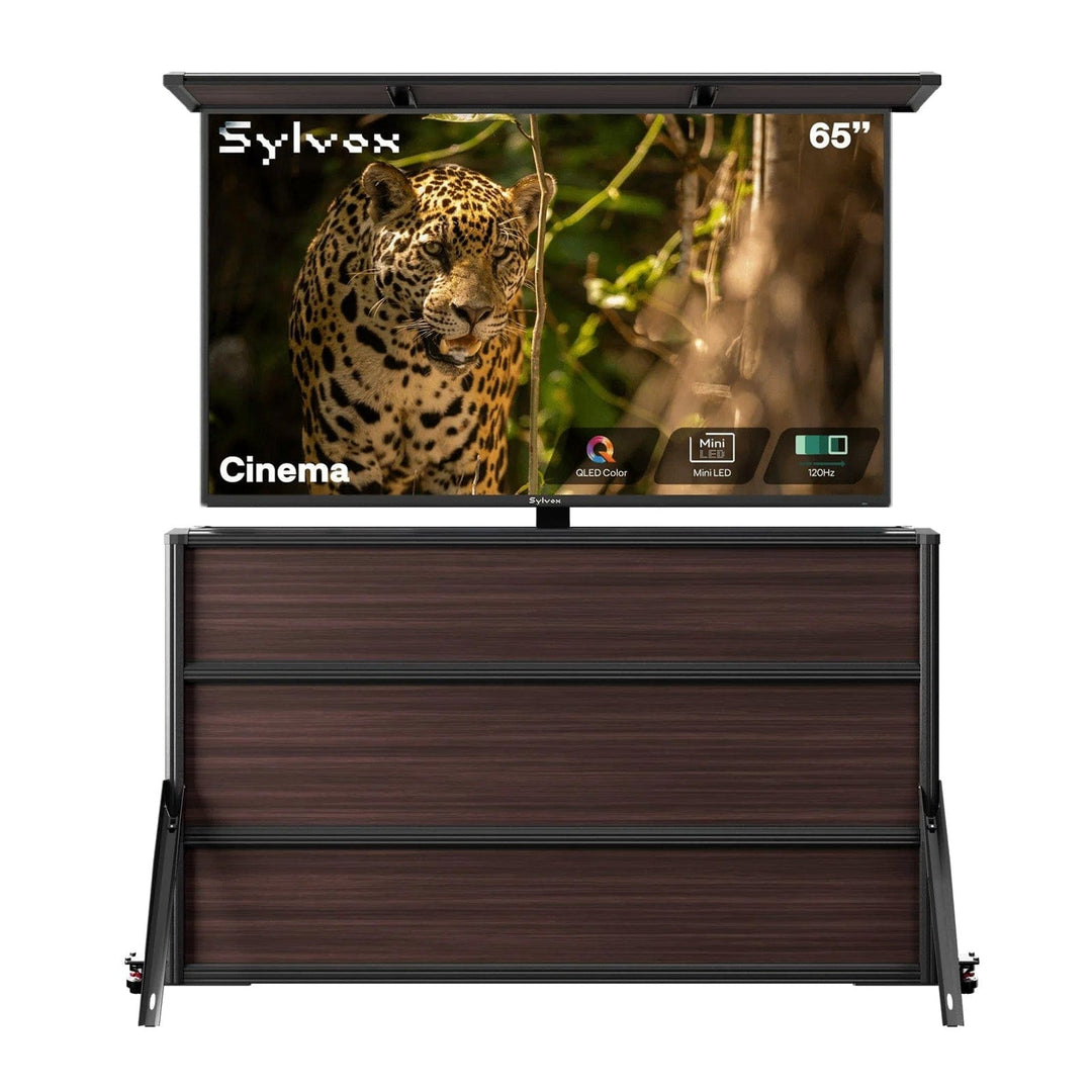 65" Cinema Outdoor TV + Lift Cabinet Bundle