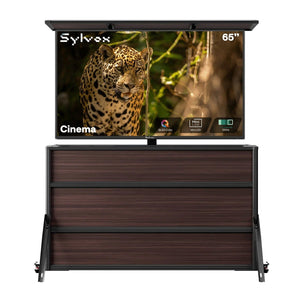 65" Cinema Outdoor TV + Lift Cabinet Bundle