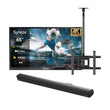 65" All-Weather Outdoor TV (Google TV) - Deck Pro 2.0 Series