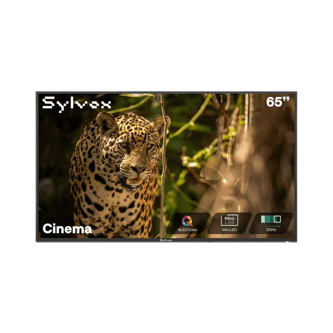 Sylvox Cinema 65" Helio QLED 120Hz Outdoor Fernseher - 2025 Modell