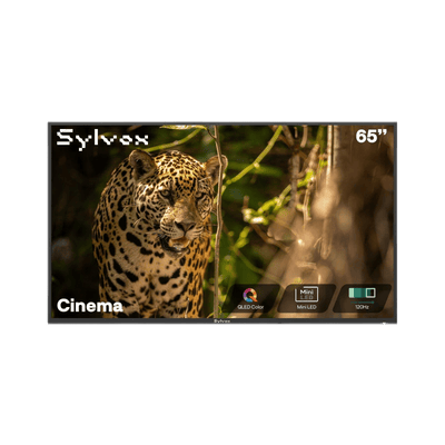 Zewnętrzny telewizor Google TV 65