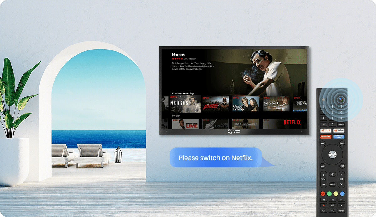 outdoor tv mitGoogle Assistant