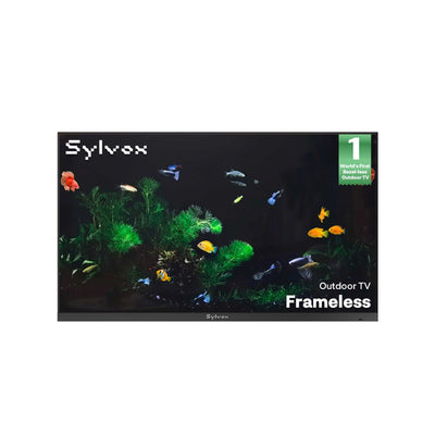 TV extérieur 65