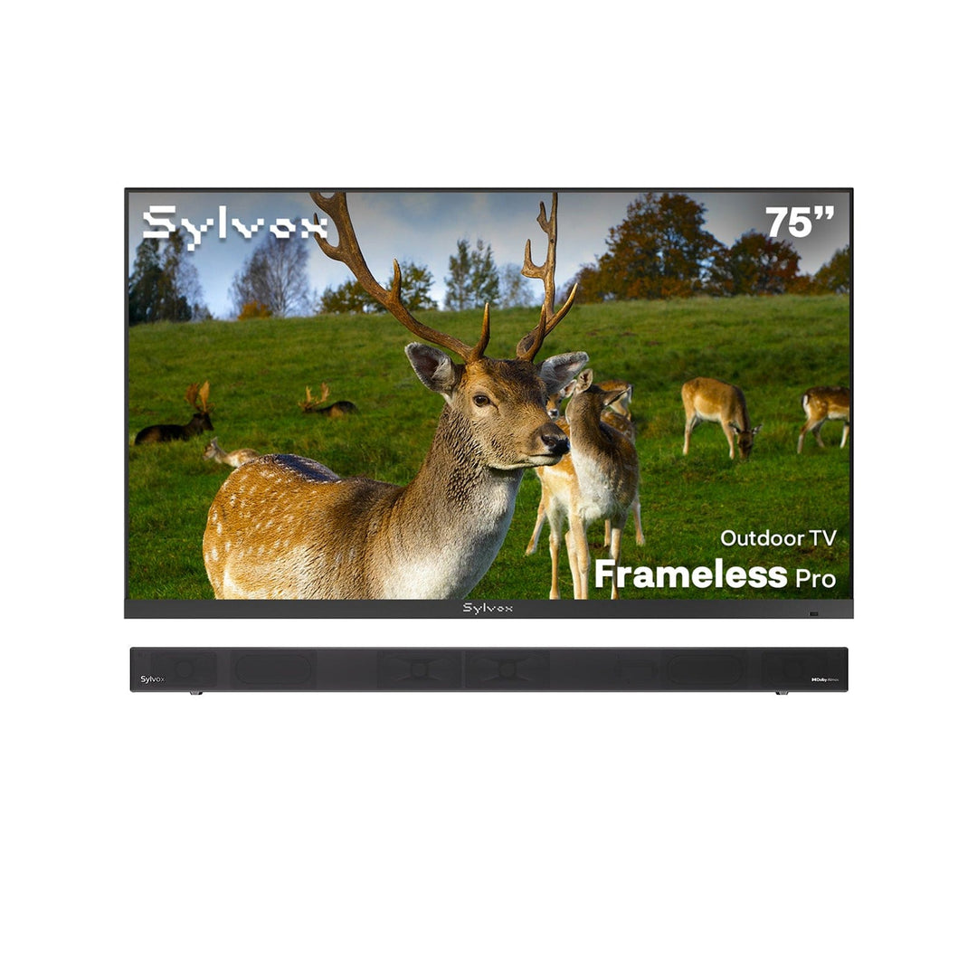 75" Outdoor TV(Google TV) - 2026 Frameless Pro Series