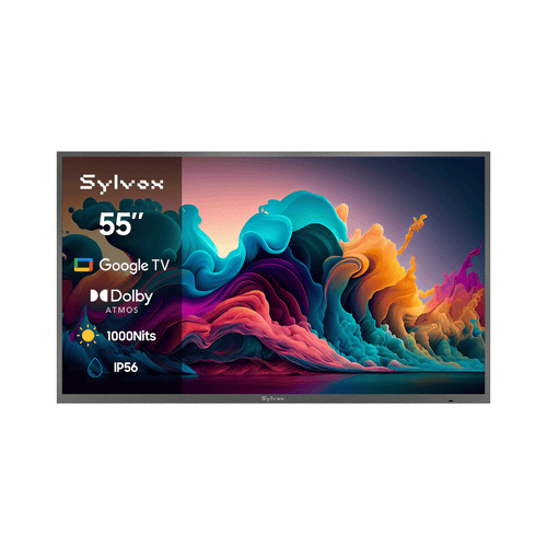 TV da esterno Google 55