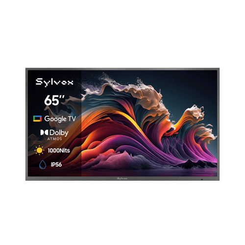TV da esterno Google 65