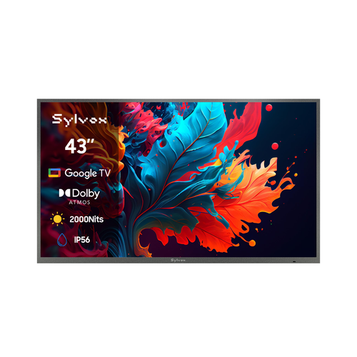 Téléviseur extérieur Google 43
