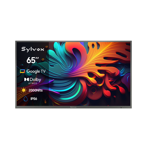 Televisor Google para exteriores de 65