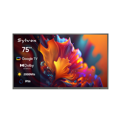 Téléviseur extérieur Google 75