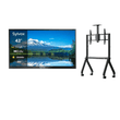 43" Google Outdoor TV  (2000 Nits Super Bright) - Pool Pro 2.0 Series