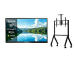 55" Google Outdoor TV (2000 Nits Super Bright) - Pool Pro 2.0 Series
