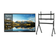 65" Google Outdoor TV (2000 Nits Super Bright) - Pool Pro 2.0 Series