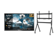 65" All-Weather Outdoor TV (Google TV) - Deck Pro 2.0 Series